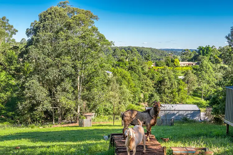 Seventh view of Homely rural property listing, 43 Funnell Drive, Modanville NSW 2480