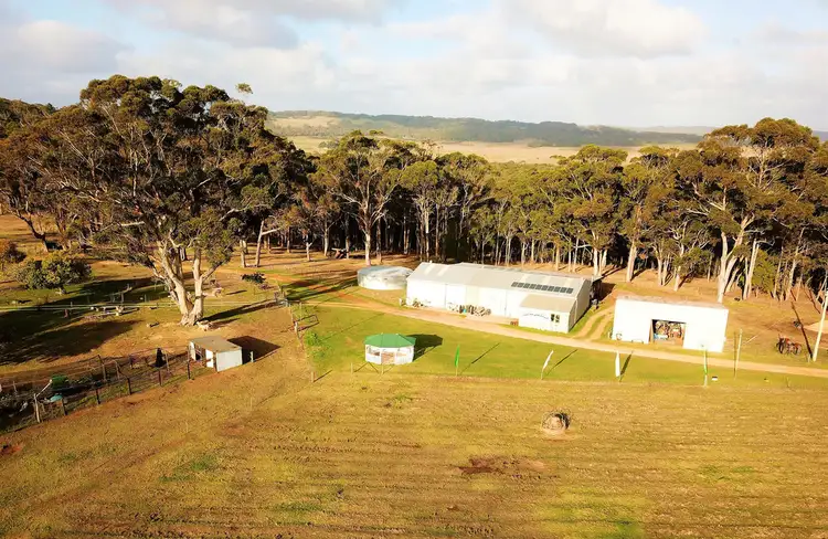 Sixth view of Homely rural property listing, 49 Livingstone Road, Youngs Siding WA 6330