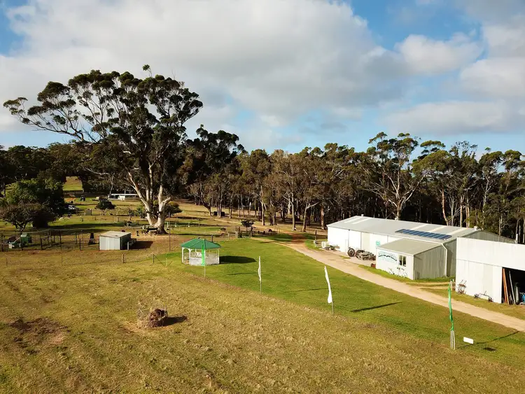 Seventh view of Homely rural property listing, 49 Livingstone Road, Youngs Siding WA 6330