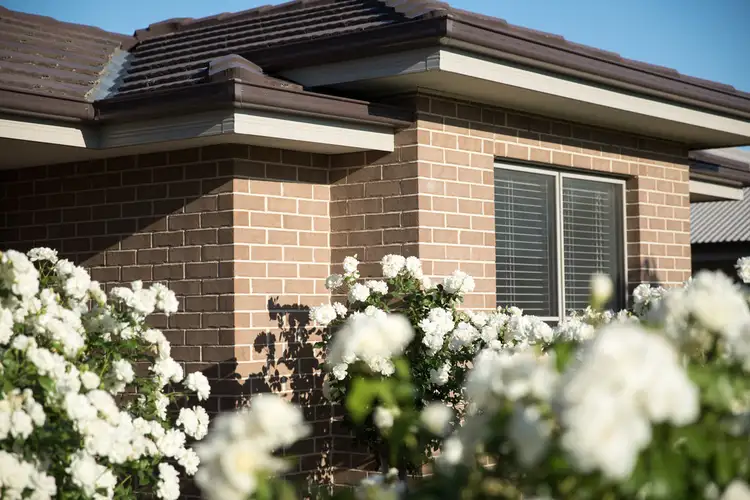 Fifth view of Homely house listing, 31 Semillon Drive, Tamworth NSW 2340