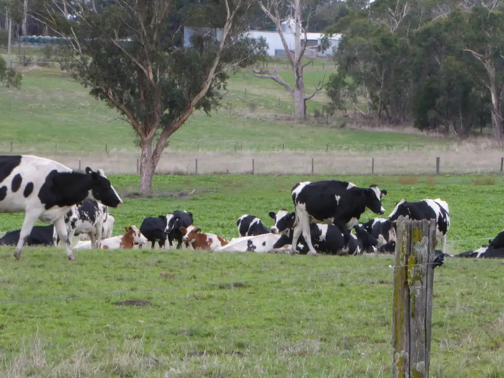 Main view of Homely rural property listing, 199 Jancourt-Forrest Road, Carpendeit VIC 3260