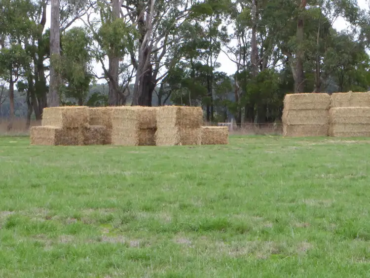 Second view of Homely rural property listing, 199 Jancourt-Forrest Road, Carpendeit VIC 3260