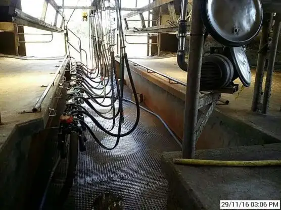 Third view of Homely rural property listing, 199 Jancourt-Forrest Road, Carpendeit VIC 3260