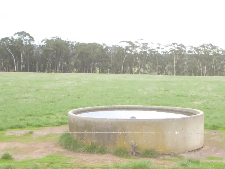 Fifth view of Homely rural property listing, 199 Jancourt-Forrest Road, Carpendeit VIC 3260