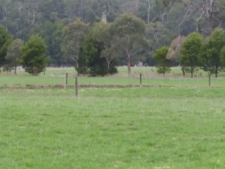 Seventh view of Homely rural property listing, 199 Jancourt-Forrest Road, Carpendeit VIC 3260