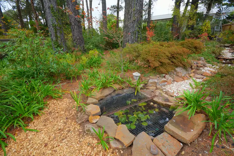 Sixth view of Homely land listing, 35 Clarence Road, Blackheath NSW 2785