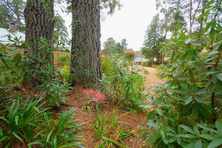 Seventh view of Homely land listing, 35 Clarence Road, Blackheath NSW 2785