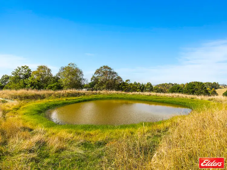 Sixth view of Homely rural property listing, 880 BENA-KONGWAK ROAD, Bena VIC 3946