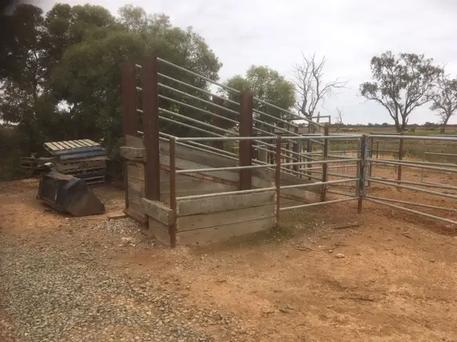 Sixth view of Homely rural property listing, 388 JOHNSON ROAD, Lockington VIC 3563