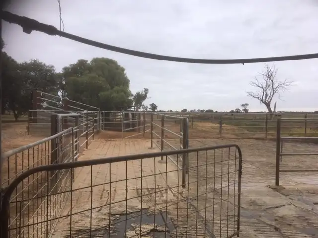 Seventh view of Homely rural property listing, 388 JOHNSON ROAD, Lockington VIC 3563