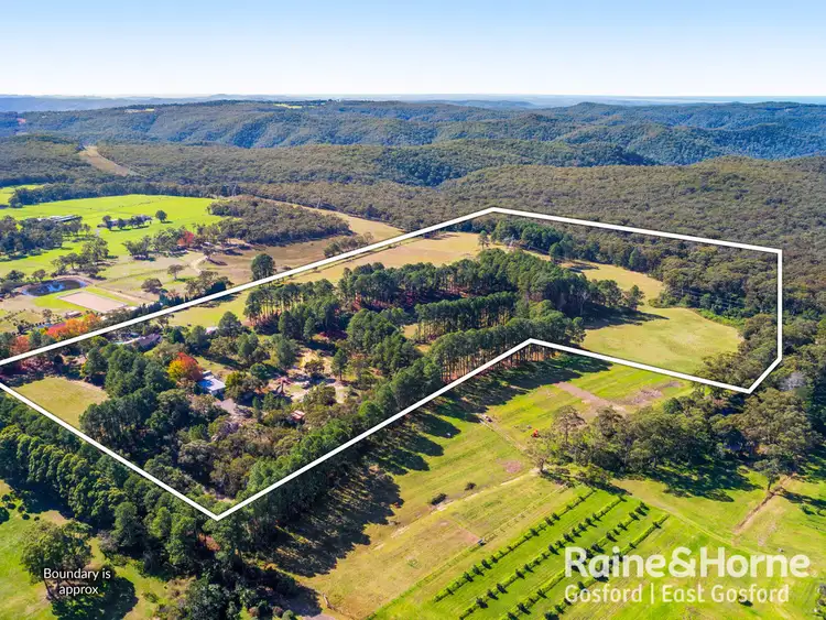Third view of Homely rural property listing, 134 Hallards Road, Central Mangrove NSW 2250