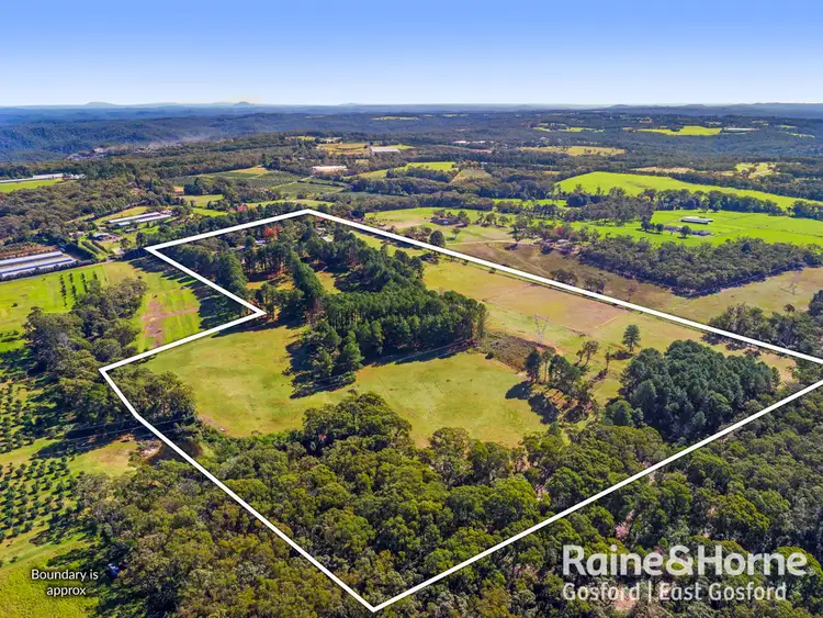 Fourth view of Homely rural property listing, 134 Hallards Road, Central Mangrove NSW 2250