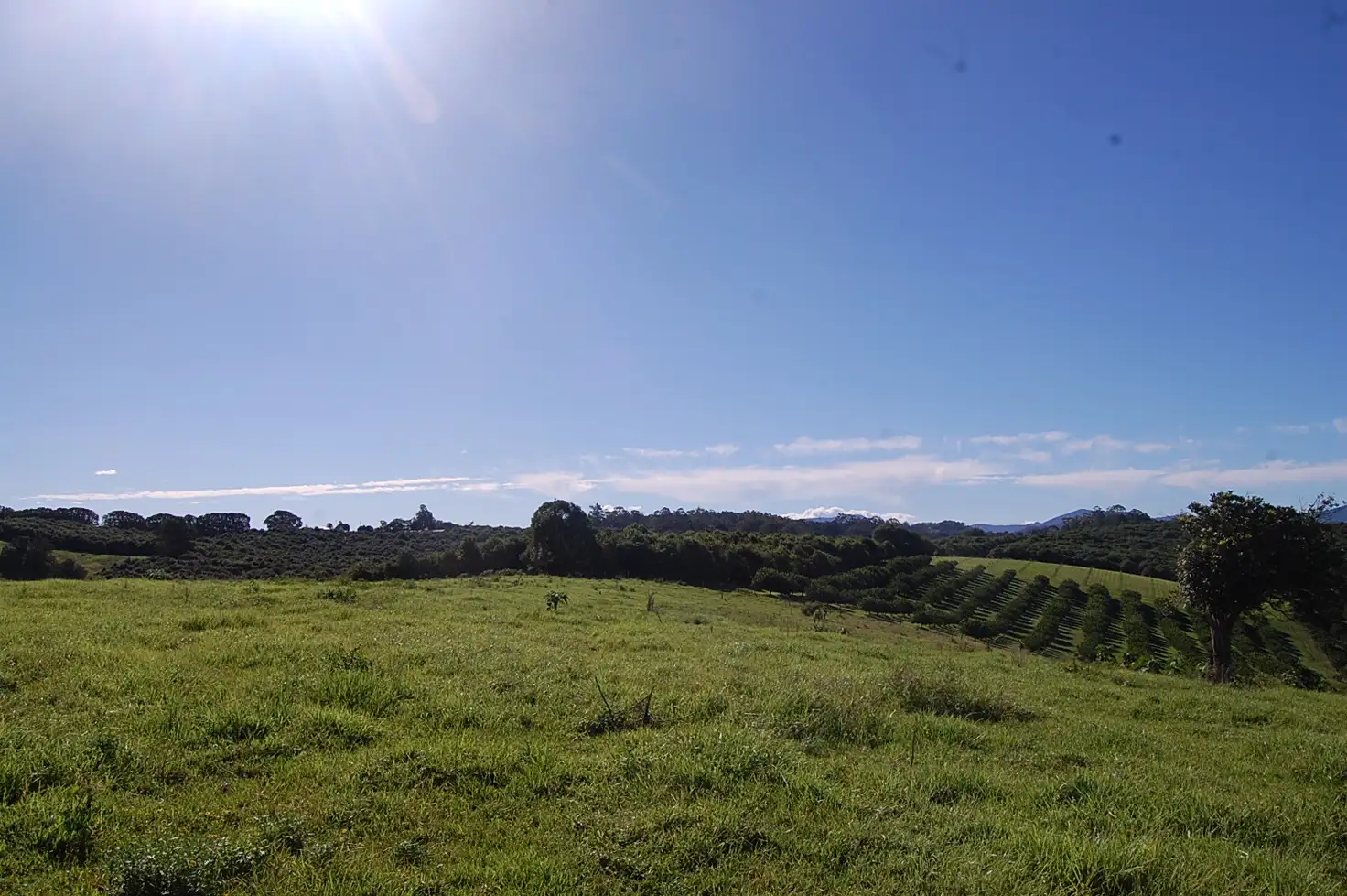 Main view of Homely rural property listing, Lot 15 Koonorigan Road, Koonorigan NSW 2480