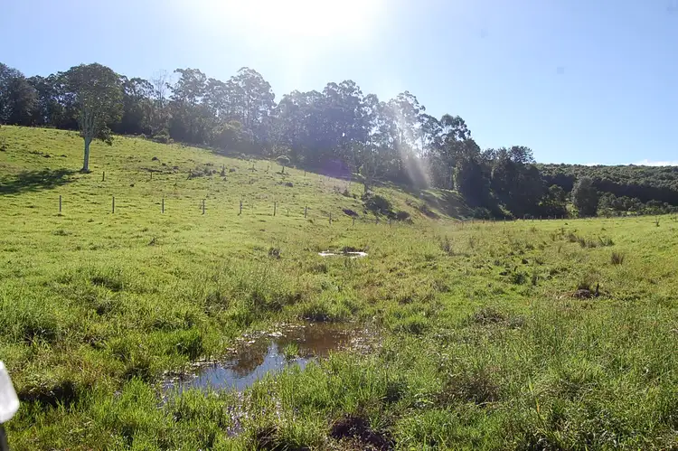 Seventh view of Homely rural property listing, Lot 15 Koonorigan Road, Koonorigan NSW 2480