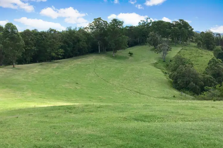 Fifth view of Homely land listing, 1233 Jiggi Road, Jiggi NSW 2480