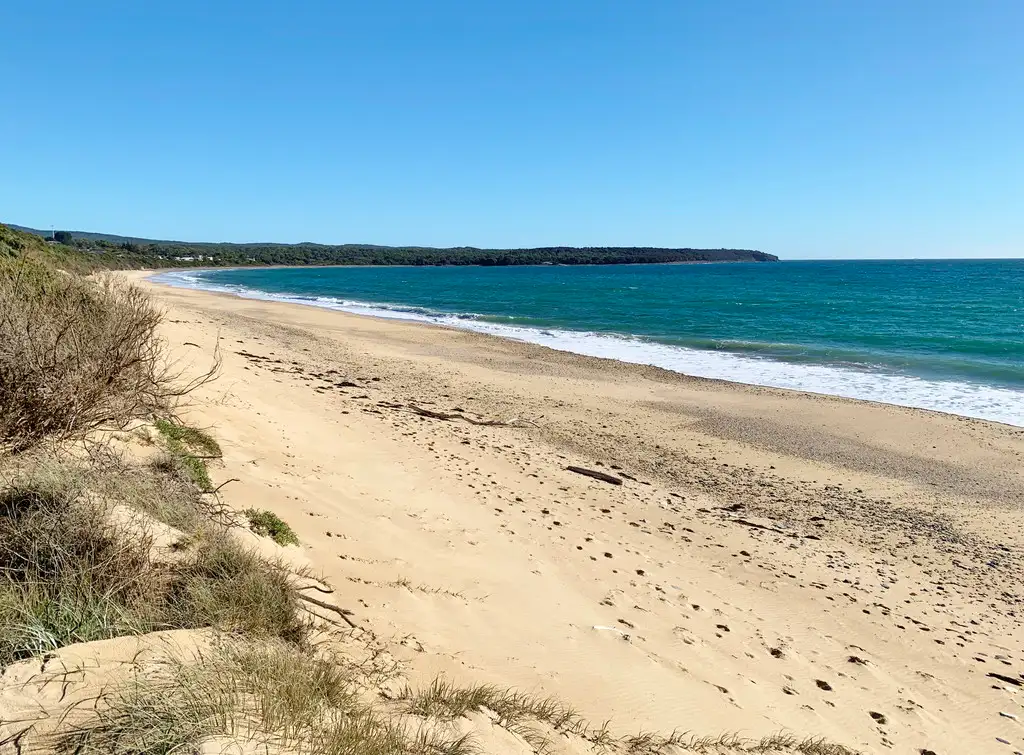 Main view of Homely land listing, 29 Beachcomber Place, Lulworth TAS 7252