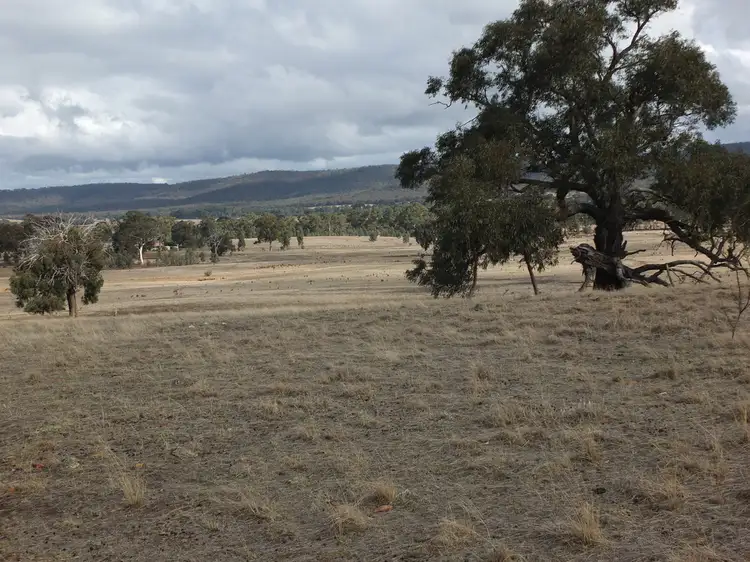 Fifth view of Homely rural property listing, 14 & 14A Johnsons Gully Rd, Barkly VIC 3384