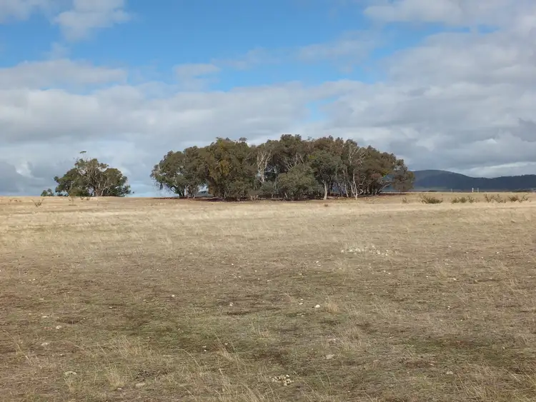 Seventh view of Homely rural property listing, 14 & 14A Johnsons Gully Rd, Barkly VIC 3384
