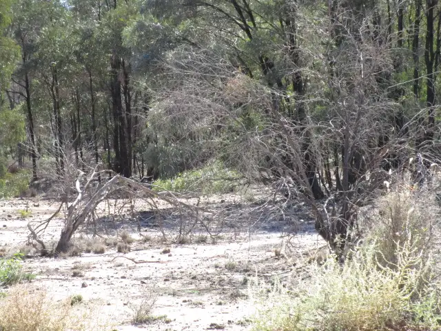 Third view of Homely rural property listing, LOT 73 KYTES ROAD, Tara QLD 4421