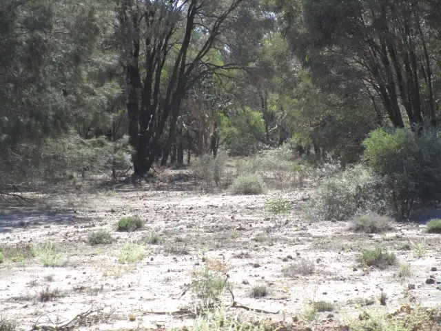 Fifth view of Homely rural property listing, LOT 73 KYTES ROAD, Tara QLD 4421