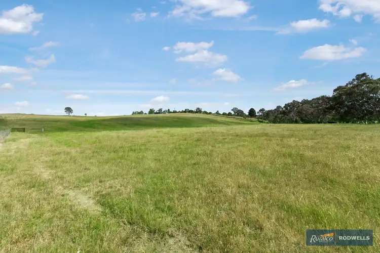 Fourth view of Homely rural property listing, 745 Seymour Pyalong Rd Hilldene via, Tallarook VIC 3659