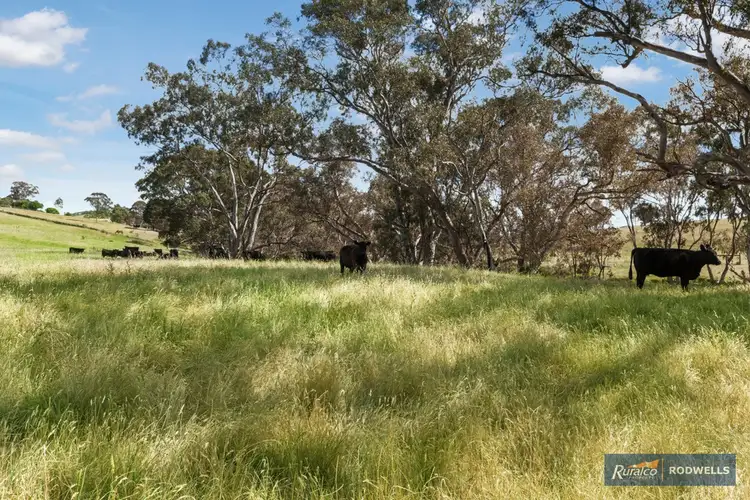 Seventh view of Homely rural property listing, 745 Seymour Pyalong Rd Hilldene via, Tallarook VIC 3659