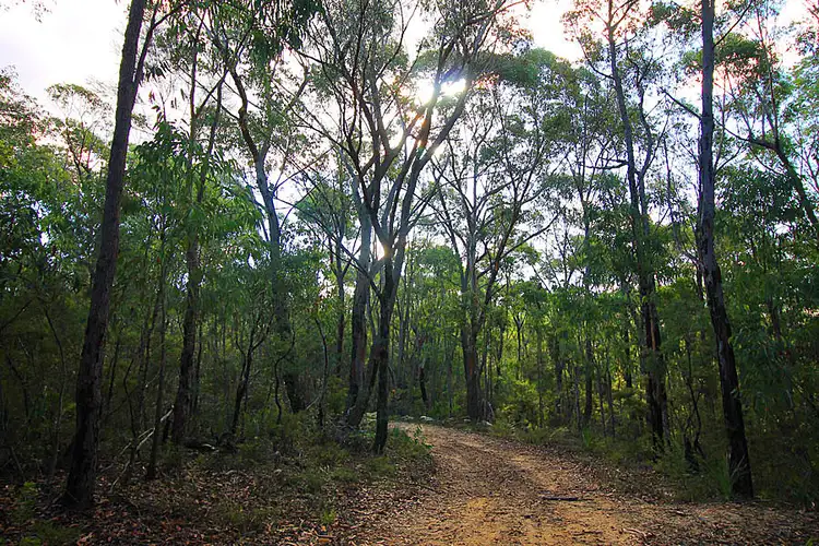 Third view of Homely rural property listing, 3472 Old Northern Road, Glenorie NSW 2157