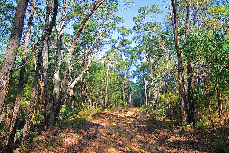 Sixth view of Homely rural property listing, 3472 Old Northern Road, Glenorie NSW 2157