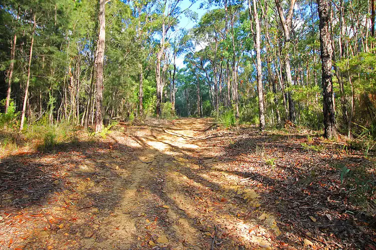 Seventh view of Homely rural property listing, 3472 Old Northern Road, Glenorie NSW 2157