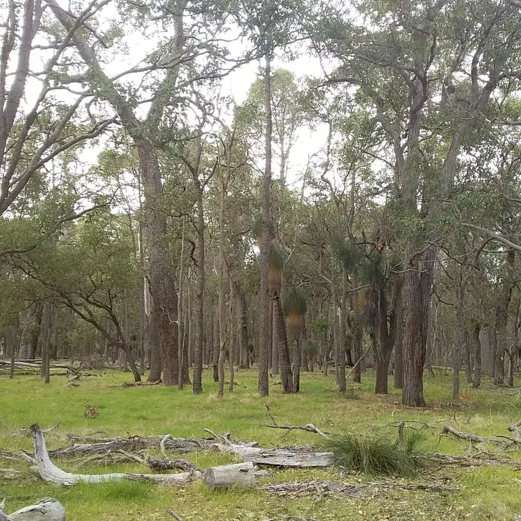Fourth view of Homely rural property listing, Lots 3812,4364 Weld Road, Capel River WA 6271