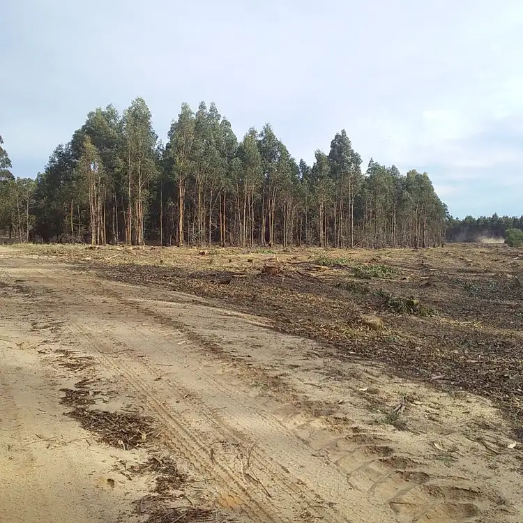 Seventh view of Homely rural property listing, Lots 3812,4364 Weld Road, Capel River WA 6271