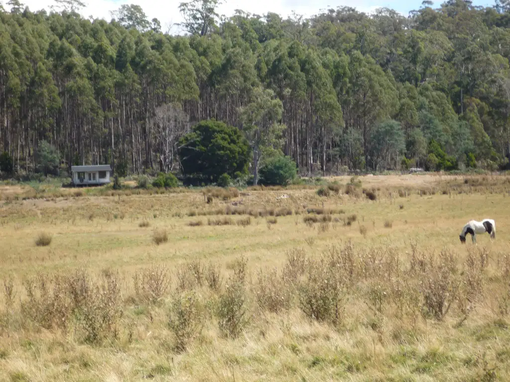 Main view of Homely land listing, 493 Priestleys Lane, Birralee TAS 7303