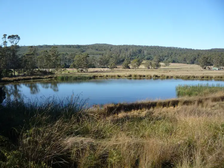 Third view of Homely land listing, 493 Priestleys Lane, Birralee TAS 7303