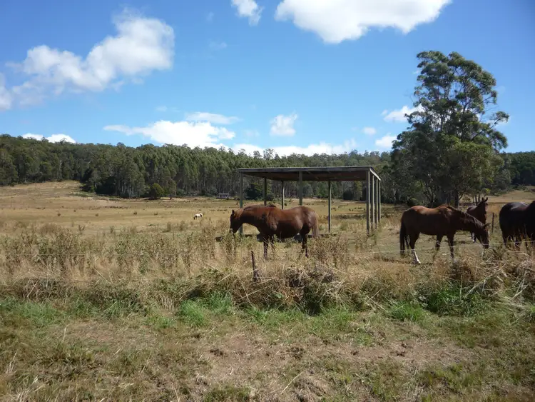 Fifth view of Homely land listing, 493 Priestleys Lane, Birralee TAS 7303