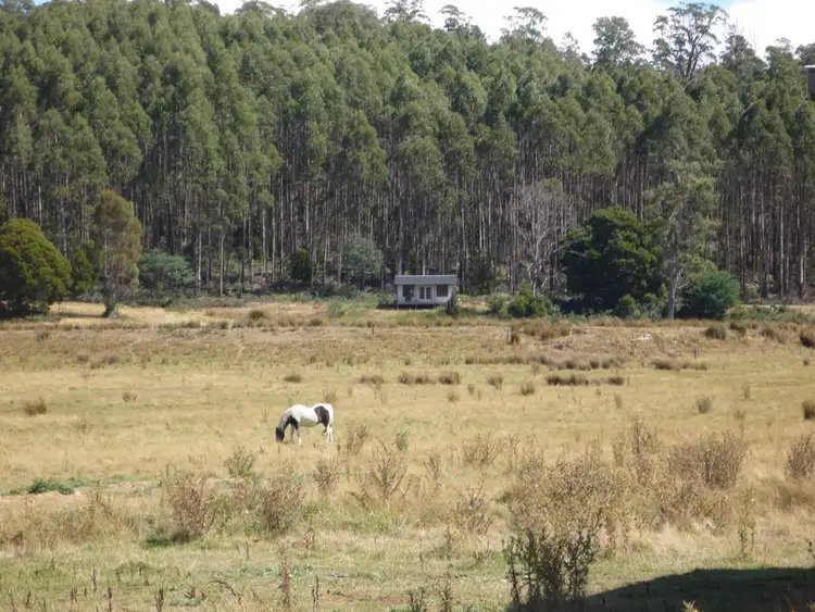 Sixth view of Homely land listing, 493 Priestleys Lane, Birralee TAS 7303