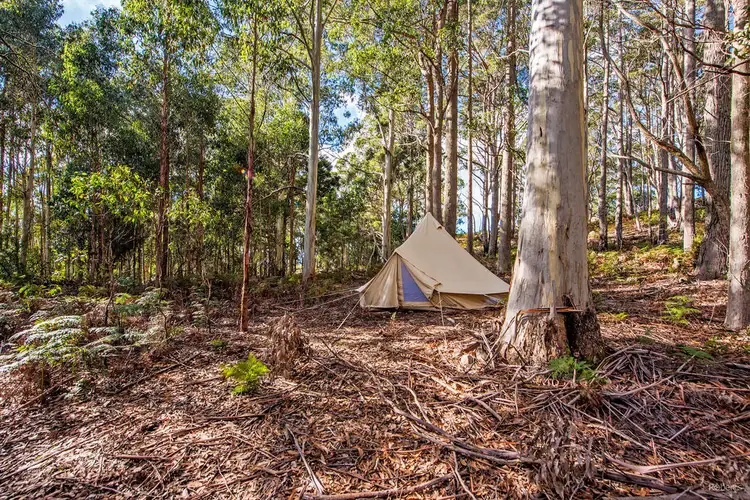 Sixth view of Homely house listing, 36 Kop Road, Erriba TAS 7310