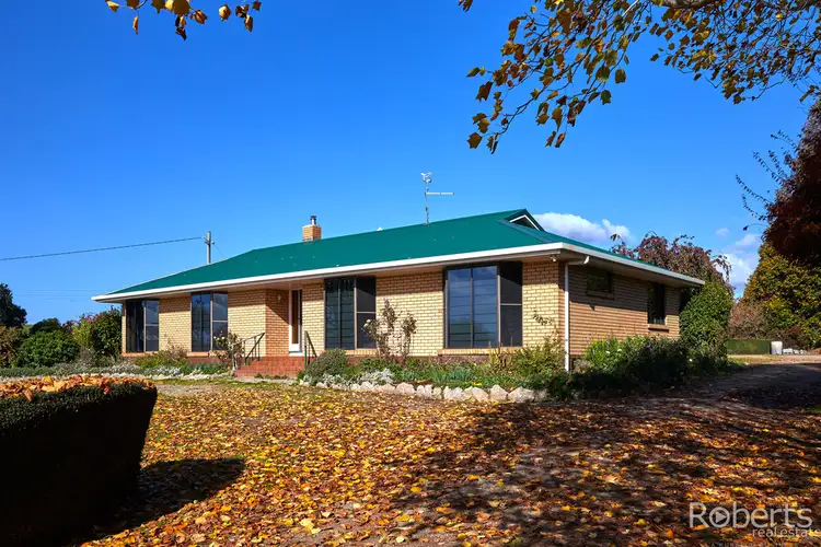 20 Racecourse Road, Winnaleah TAS 7265