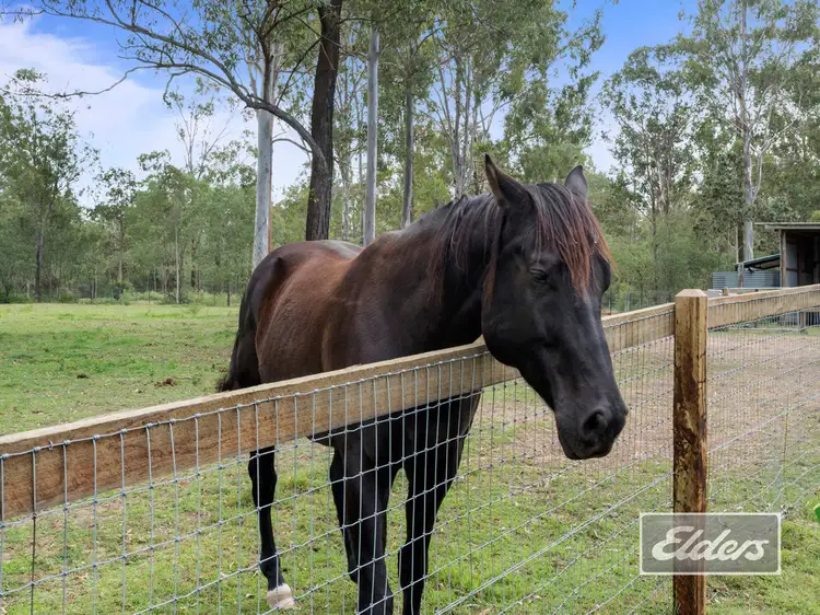 Fifth view of Homely house listing, 1033 Teviot Road, South Maclean QLD 4280