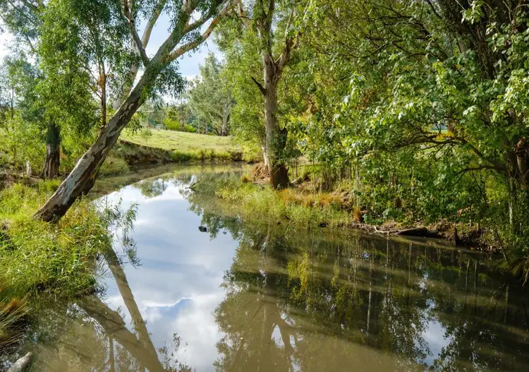 Third view of Homely rural property listing, Aberfeldy Hume Highway, Holbrook NSW 2644