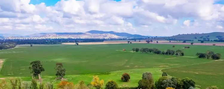 Fifth view of Homely rural property listing, Aberfeldy Hume Highway, Holbrook NSW 2644