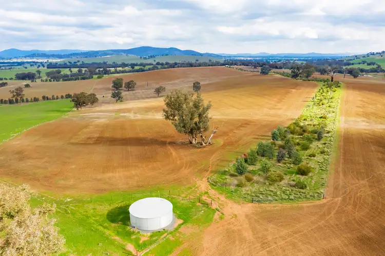 Sixth view of Homely rural property listing, Aberfeldy Hume Highway, Holbrook NSW 2644