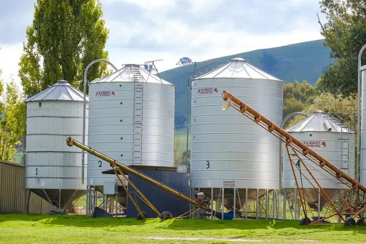 Seventh view of Homely rural property listing, Aberfeldy Hume Highway, Holbrook NSW 2644