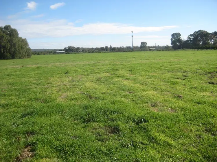 Fifth view of Homely rural property listing, Lot 472 Todd Road, Lake Wyangan NSW 2680