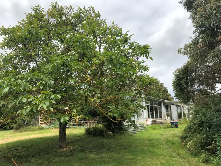 Fifth view of Homely rural property listing, 68 Cameron Road, Wye SA 5291