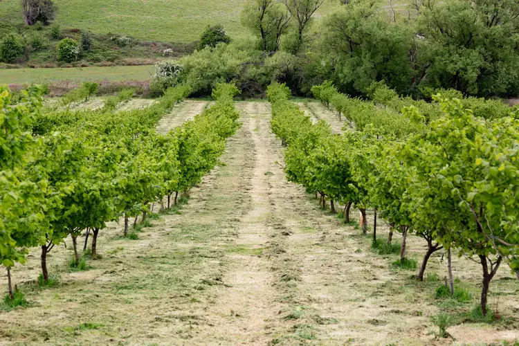 Seventh view of Homely rural property listing, 43 Turkey Farm Road, Glengarry TAS 7275