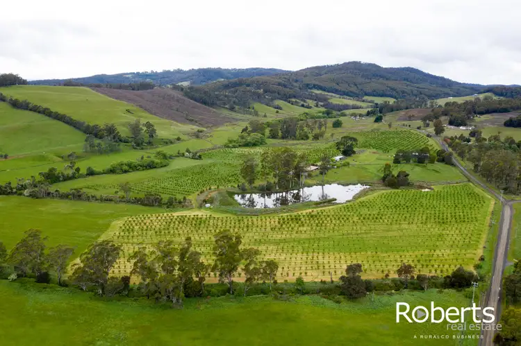 Second view of Homely house listing, 43 Turkey Farm Road, Glengarry TAS 7275