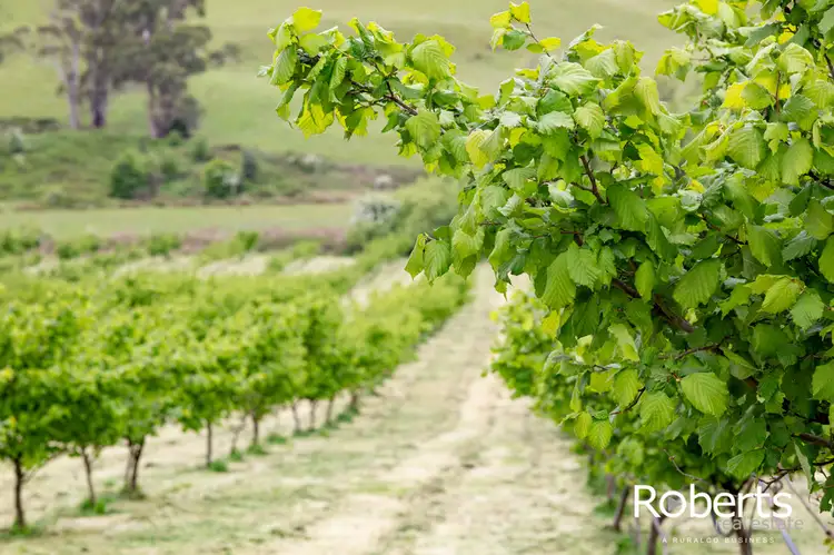 Third view of Homely house listing, 43 Turkey Farm Road, Glengarry TAS 7275