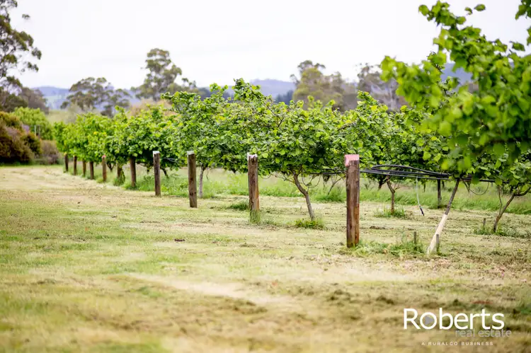 Fifth view of Homely house listing, 43 Turkey Farm Road, Glengarry TAS 7275