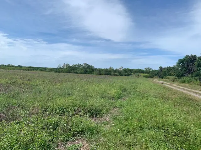 Seventh view of Homely land listing, L 1-6, 87 & 90 Andreassen Road, Craiglie QLD 4877
