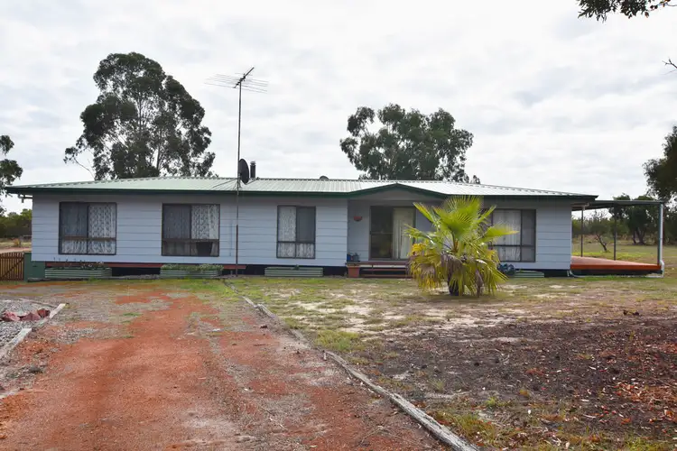 12 (Lot 111) McLennan Street, Gibson WA 6448